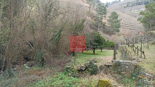 Land for sale in Mesão Frio, Portugal