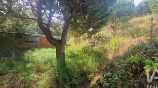 Terreno em Mafra