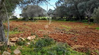 Land for sale in Olhão, Portugal — €45,000