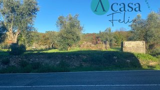 Land for sale in Ferreira do Zêzere, Portugal — €29,900