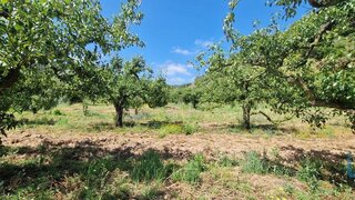Terreno em Mafra · 7812 m² · 55 000 €