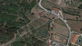 Terreno de 4000 m² em Coimbra