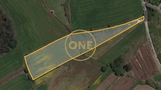 Land for sale in Barcelos, Portugal — €40,000