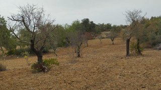 Land for sale in São Brás de Alportel, Portugal — €55,000