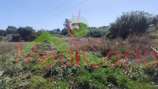 Terreno para venda em Cartaxo, Portugal — 39 500 €