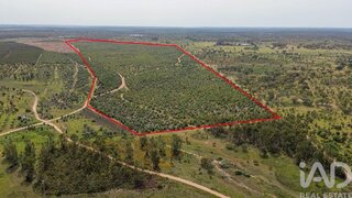 Land for sale in Abrantes, Portugal — €699,000