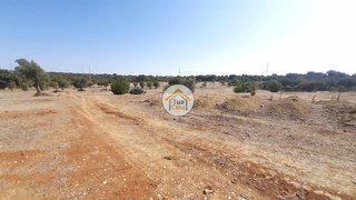 Terreno de 26 000 m² em Faro