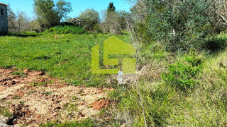 Land for sale in Condeixa-a-Nova, Portugal — €420,000