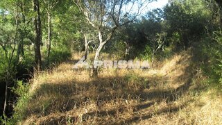 Land for sale in Idanha-a-Nova, Portugal — €10,600