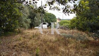 Land for sale in Ansião, Portugal — €28,000
