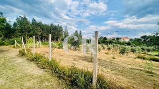 Terreno em Figueiró dos Vinhos