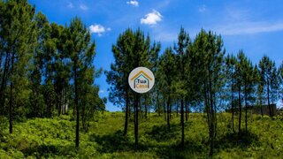 Land for sale in Vila Nova de Gaia, Portugal — €280,000
