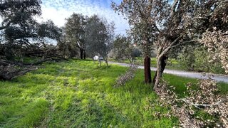 Land for sale in Tomar, Portugal — €27,500