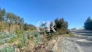 Terreno em Figueiró dos Vinhos