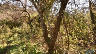 Land for sale in Ourém, Portugal — €8,900