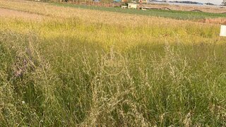 Land for sale in Póvoa de Varzim, Portugal — €36,500