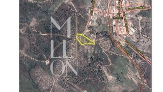 Land for sale in Mação, Portugal — €12,460