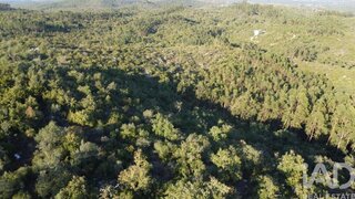 Land for sale in Ferreira do Zêzere, Portugal — €12,500