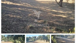 Land for sale in Rio Maior, Portugal — €215,000