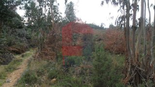 Land for sale in Vila Verde, Portugal — €30,000