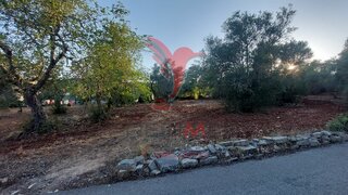 Land for sale in São Brás de Alportel, Portugal — €330,000