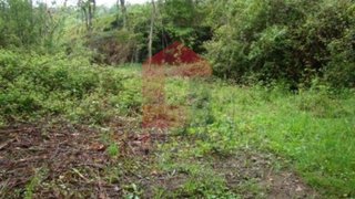 Land for sale in Vila Verde, Portugal — €15,000