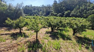 Land for sale in Mafra, Portugal — €56,000