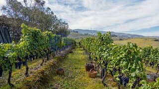 Land for sale in Lamego, Portugal — €320,000