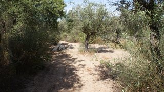 Land for sale in Penamacor, Portugal — €6,500