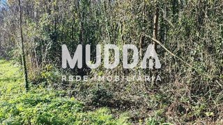 Terreno em Santa Maria da Feira