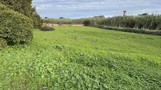 Land for sale in Montijo, Portugal — €135,000