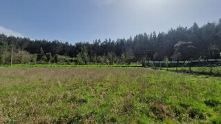 Land for sale in Tábua, Portugal — €35,000