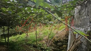 Land for sale in Santana, Portugal — €78,000