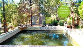 Terreno para venda em Serpa, Portugal — 285 000 €