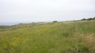 Land for sale in Loulé, Portugal — €950,000