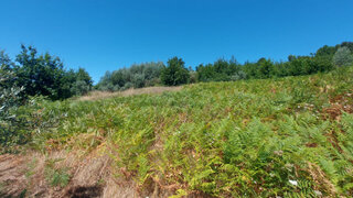 Land for sale in Arganil, Portugal — €12,000