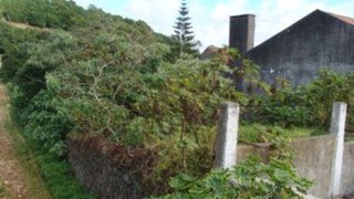 Land for sale in Ponta Delgada, Portugal — €50,000