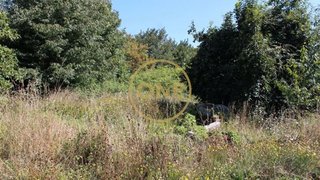 Land for sale in Vila Nova de Famalicão, Portugal — €120,000
