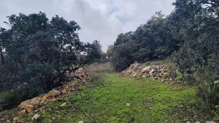 Land for sale in São Brás de Alportel, Portugal — €298,000