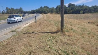 Terreno de 50 573 m² em Setúbal