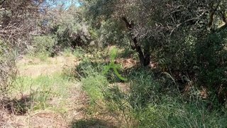 Land for sale in Silves, Portugal — €38,000