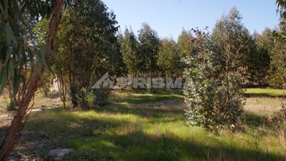 Land for sale in Penamacor, Portugal — €11,000