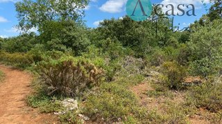 Land for sale in Ferreira do Zêzere, Portugal — €16,500