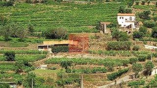 Land for sale in Lamego, Portugal — €35,000