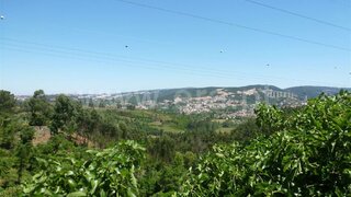 Land for sale in Coimbra, Portugal — €22,500