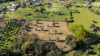 Terreno · 4800 m² · 9250 €