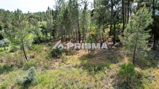Terreno de 800 m² em Castelo Branco