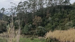 Land for sale in Alenquer, Portugal — €14,500