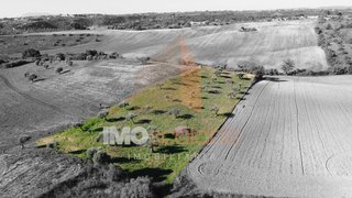 Terreno de 7200 m² em Santarém
