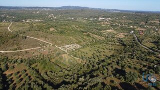 Land for sale in Ferreira do Zêzere, Portugal — €5,650